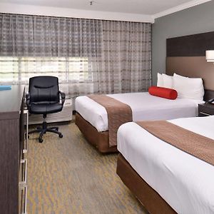 One Standard Room Two Double Beds